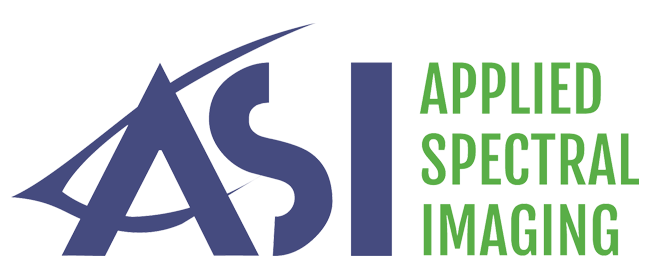 نام وب سایت : توضیحات کوتاه برند در اینجا تایپ کنید.