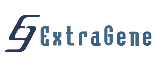 نام وب سایت : توضیحات کوتاه برند در اینجا تایپ کنید.