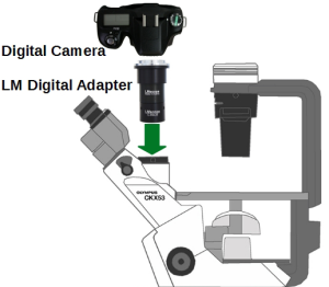 میکروسکوپ اینورت دیجیتال